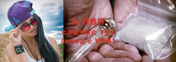 jwh Гусев