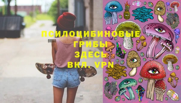 jwh Гусев