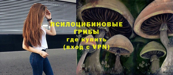 jwh Гусев